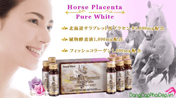 Horse-Placenta-Pure-White-Beauty-Mirai