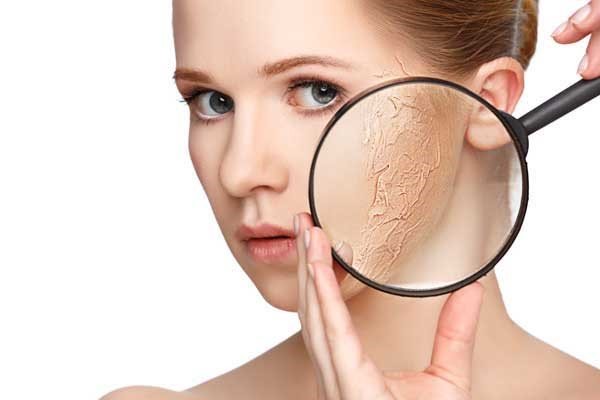 Dermalogica Skin Care Basics Dry Kit