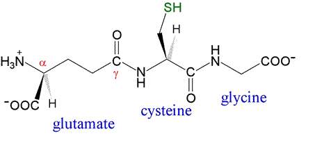 Bạn biết gì về thành phần chất L-Glutathione thường thấy trong mỹ phẩm