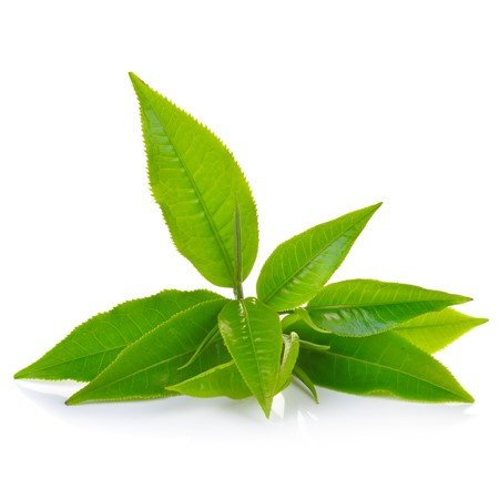 Dermalogic Body Hydrating Cream