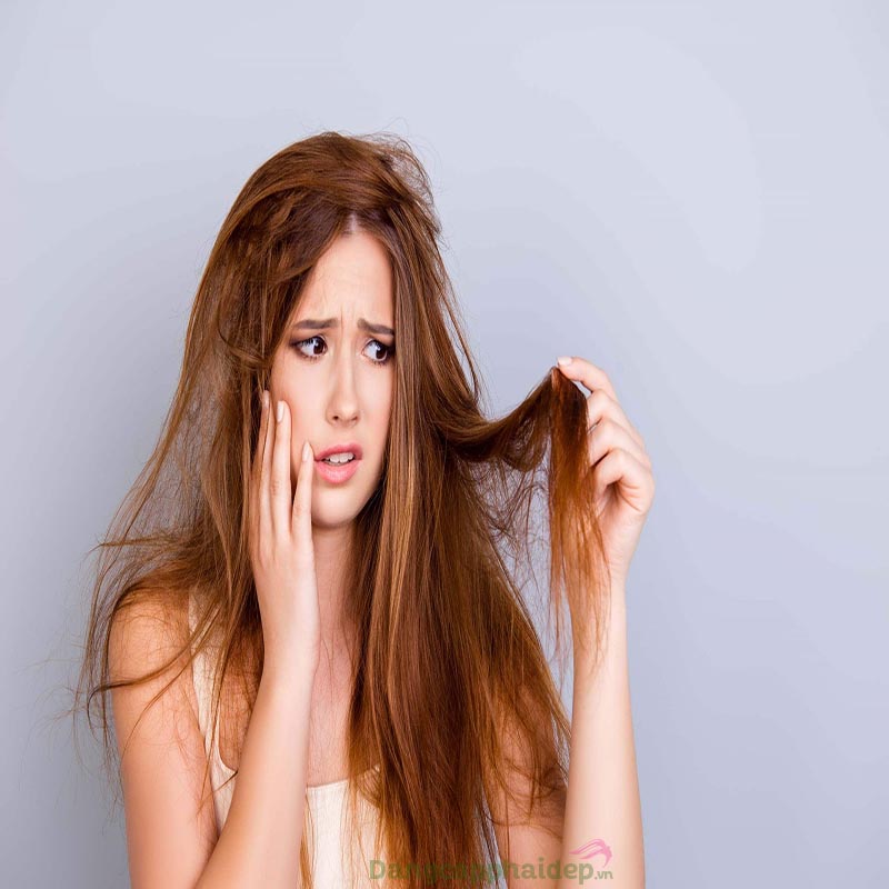 Mái tóc hư tổn rất dễ bị rối