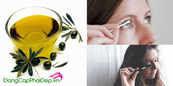 tác dụng của dầu oliu với lông mi