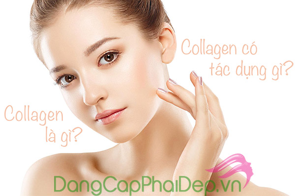 Tổng hợp các câu hỏi thường gặp về collagen