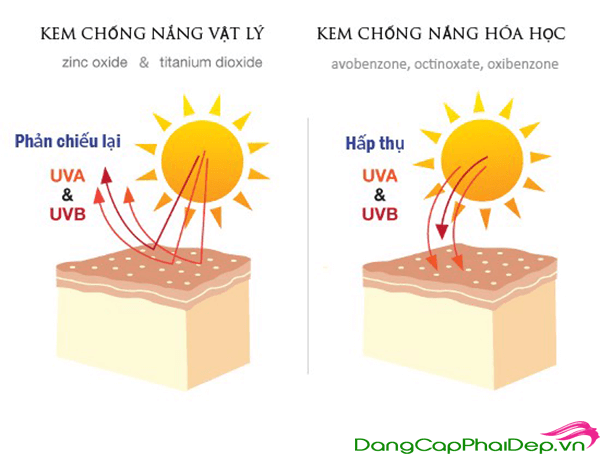 Kem chống nắng vật lý bảo vệ chống lại tia nắng mặt trời bằng cách phản chiếu ánh sáng