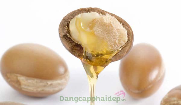 Dầu argan giúp nâng cao độ đàn hồi, dưỡng mái tóc mềm mượt và bóng khỏe.
