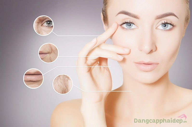 Lấp đầy nếp nhăn, trẻ hóa da hiệu quả với Cellular Wrinkle Prohibiting Serum
