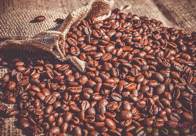 Chiết xuất caffeine