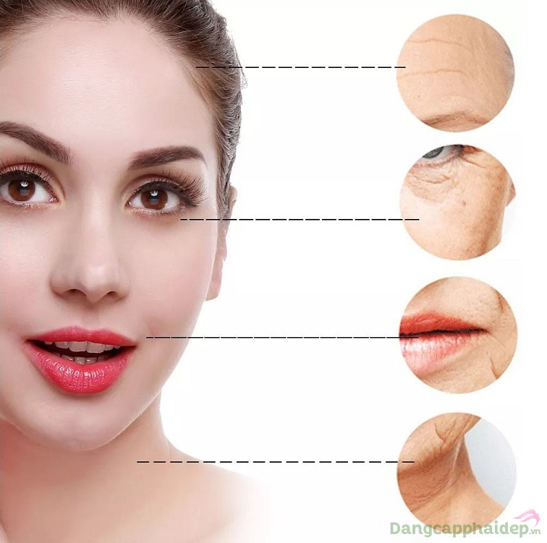 Đẩy lùi mọi dấu hiệu lão hóa da khi sử dụng bộ kit trẻ hóa da Image MD Skincare System