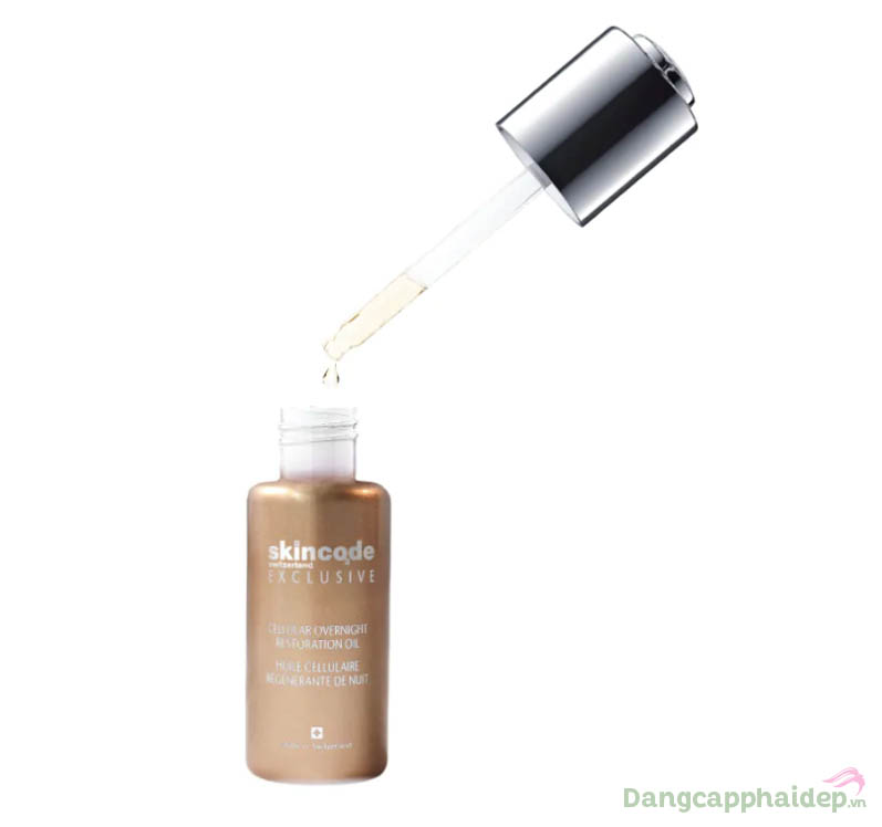 Hồi sinh làn da khỏe mạnh, tươi mới ngay trong giấc ngủ với dầu dưỡng Cellular Overnight Restoration Oil