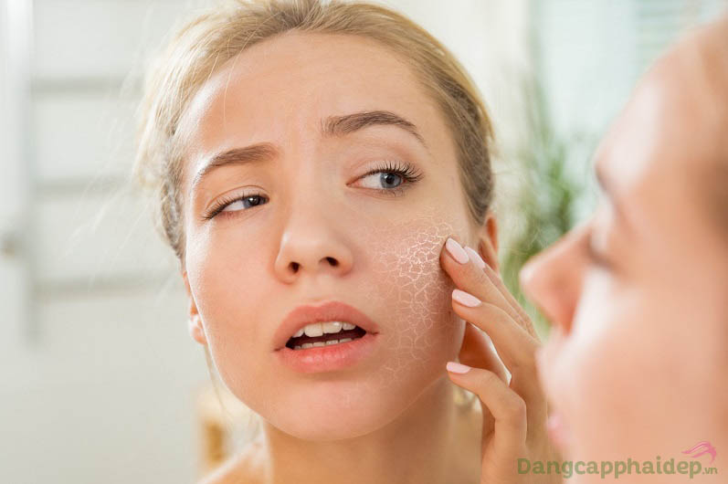 Sử dụng dầu dưỡng ngay hôm nay nếu làn da bạn đang gặp tình trạng khô ráp, thiếu sức sống tươi mới...