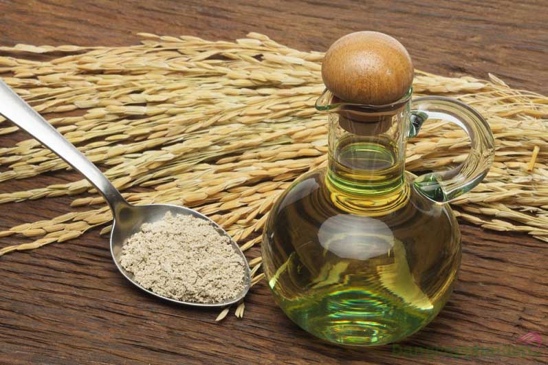 Chiết xuất dầu cám gạo