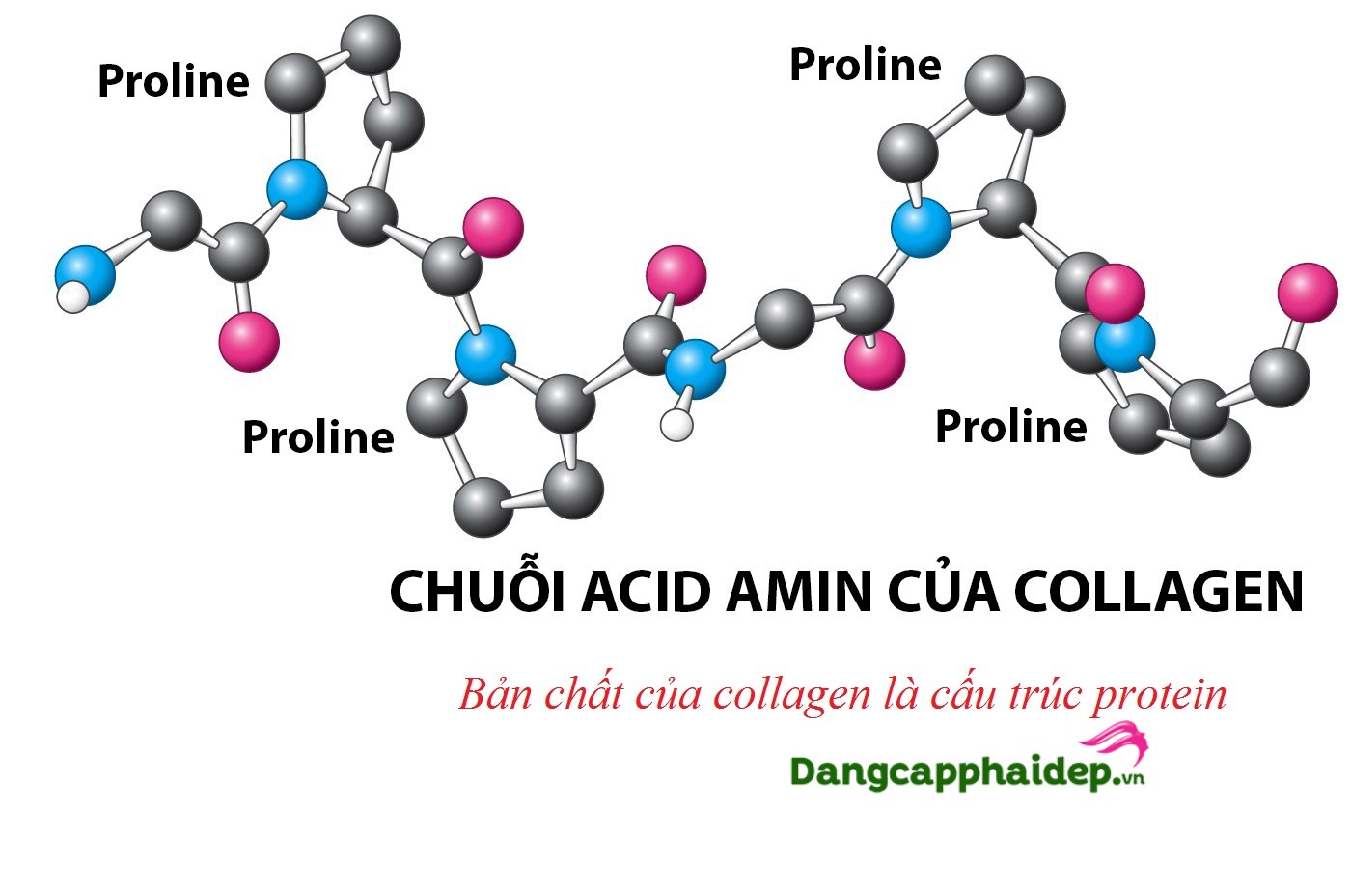 ba-quan-trong-cua-collagen-1