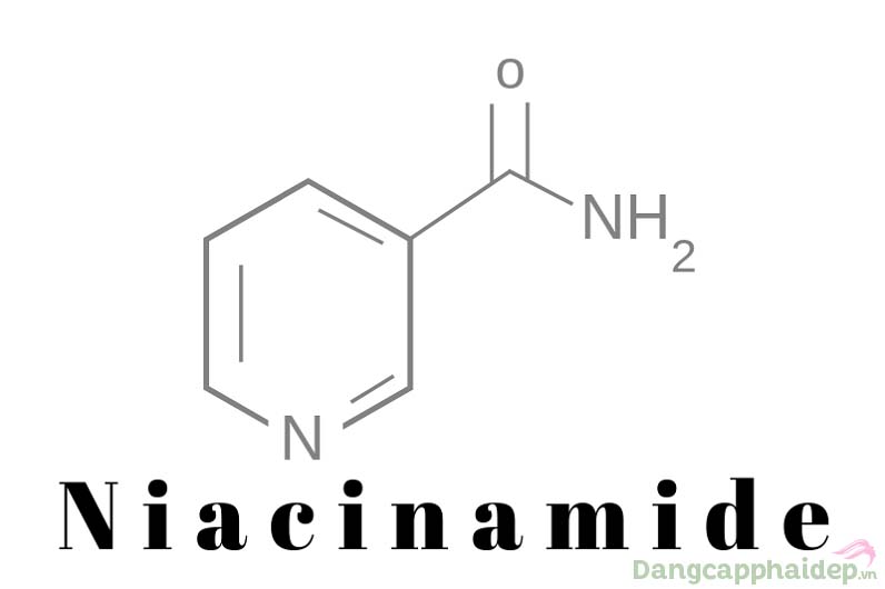 Niacinamide hoạt động hiệu quả trong việc sửa chữa ADN, bảo vệ da khỏe mạnh