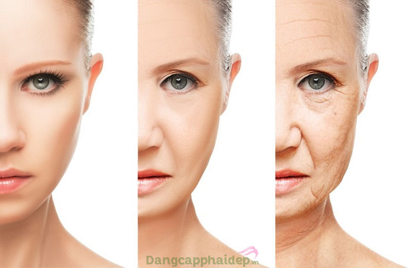 Nguyên nhân chính của việc da bị lão hóa là do oxy hóa