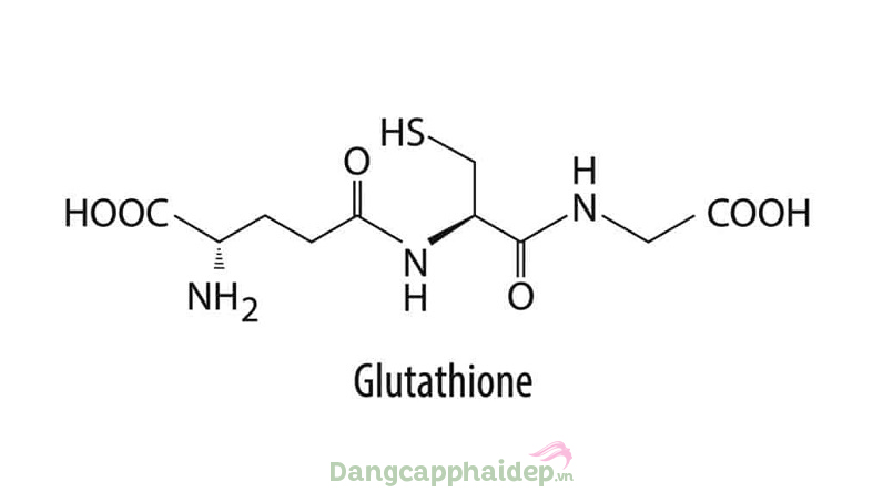 Glutathione được xem là "tượng đài" của các chất chống oxy hóa