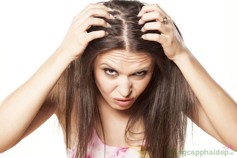 Ám ảnh mái tóc mỏng thưa lại dễ gãy rụng và xơ rối