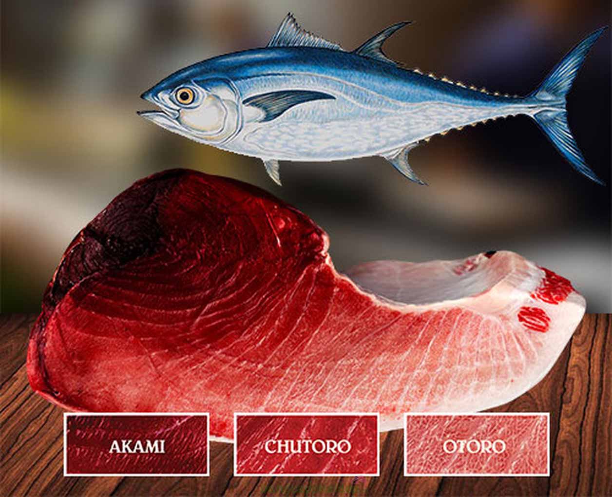 Cá ngừ Nhật có thịt được chia thành 3 loại với màu sắc khác nhau