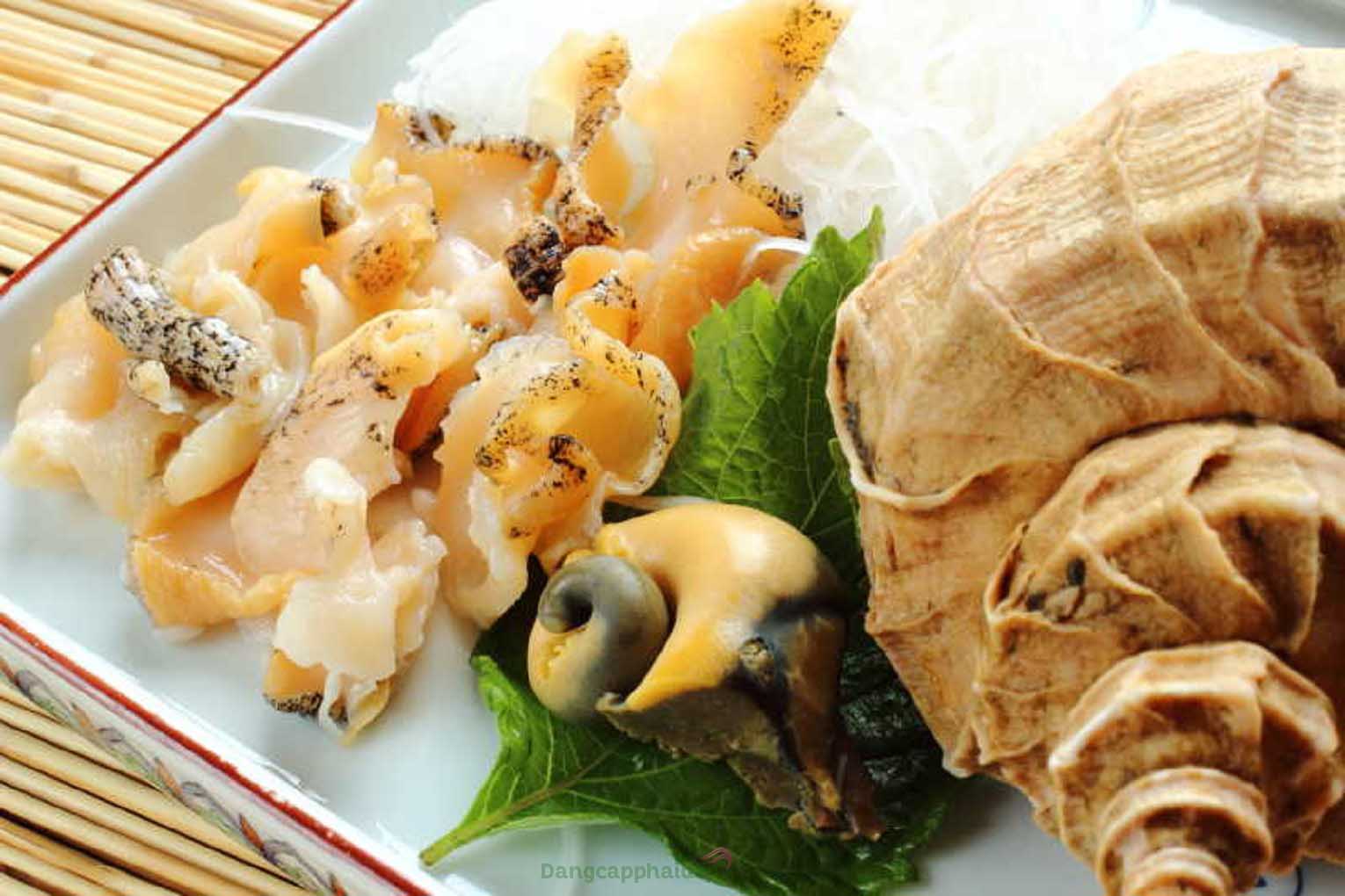 Ốc xoắn Tsubugai vừa có hương vị giòn ngọt đặc trưng vừa đem lại nguồn dinh dưỡng dồi dào