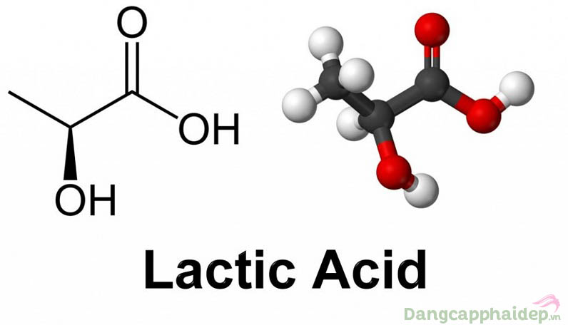 Acid lactic là hoạt chất dưỡng da đa năng được ưa chuộng hiện nay