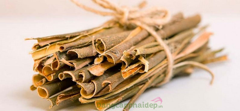 Sản phẩm chứa chiết xuất vỏ cây liễu
