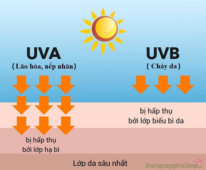 Không chỉ có tia UVA/UVB gây hại đến làn da