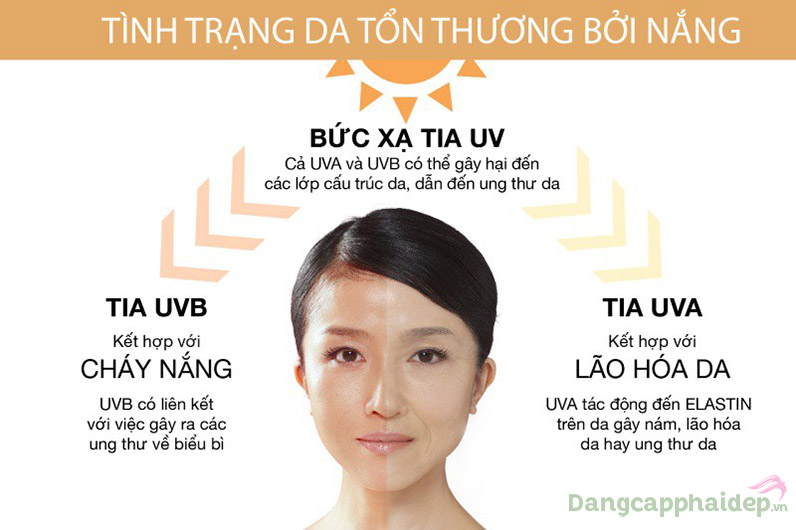 Các bức xạ tia UV ảnh hưởng trầm trọng đến sức khỏe làn da.