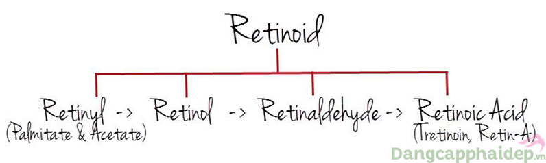 Các loại Retinoids và công dụng của từng loại.
