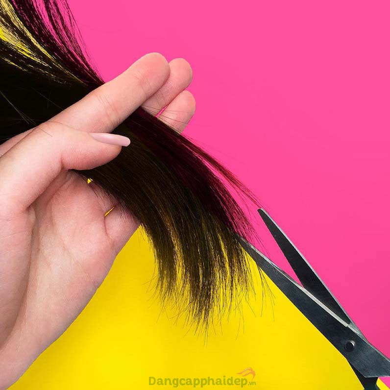 Nên cắt tỉa phần tóc chẻ ngọn để kích thích tóc mới phát triển