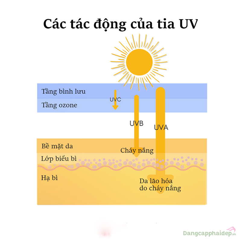 Các tác động của tia UV đến da.