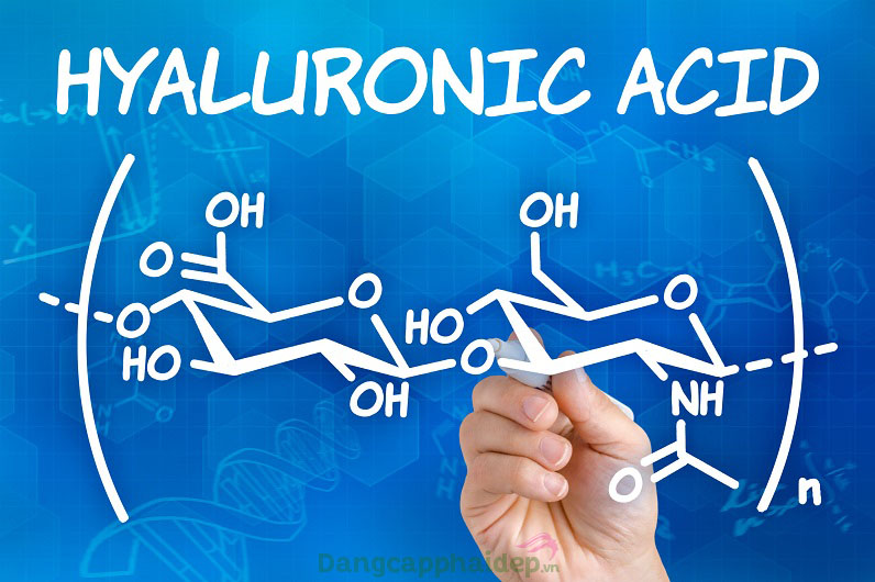 Hyaluronic acid giúp dưỡng ẩm, chống lão hóa da rất tốt