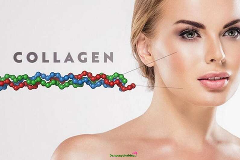 Nước uống tăng cường collagen chống lão hóa Thalgo Collagen 5000