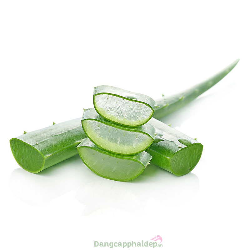 Chiết xuất lô hội