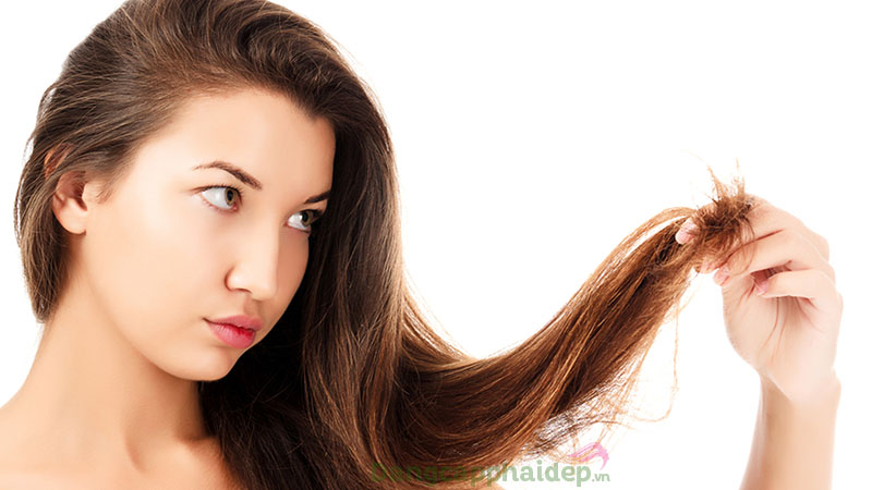 Nên sử dụng dầu oliu khi tóc gặp vấn đề khô xơ, chẻ ngọn.