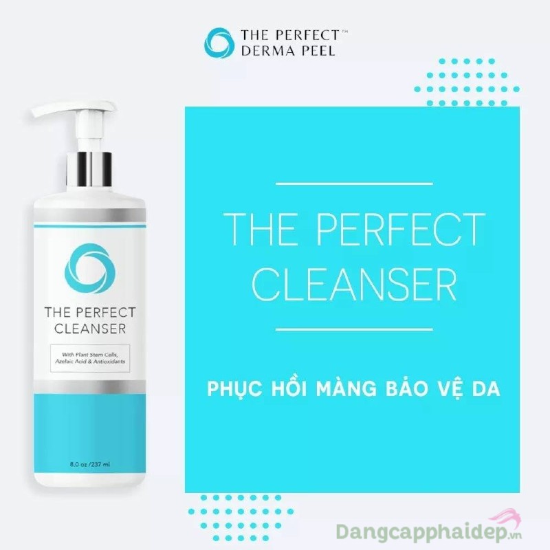 The Perfect Cleanser