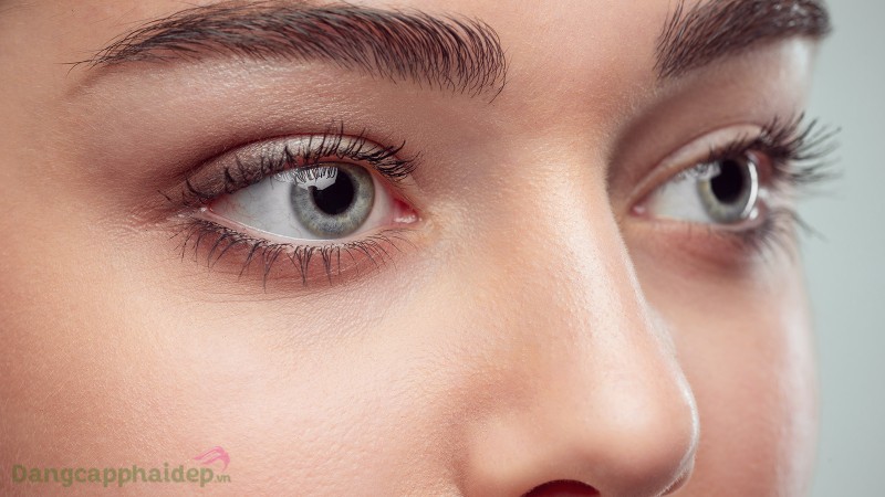 Pressensa Active Eye