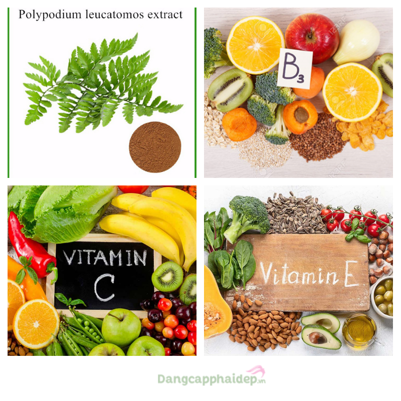 Chứa công nghệ Fernblock độc quyền từ cây dương xỉ kết hợp cùng các vitamin và khoáng chất bảo vệ làn da, sức khoẻ.