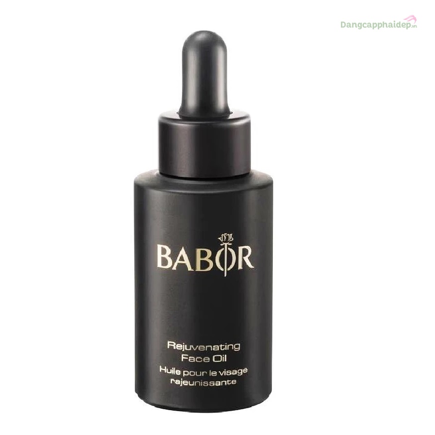 Babor Rejuvenating Face Oil 30ml – Dầu massage tái tạo da từ hoa hồng trắng