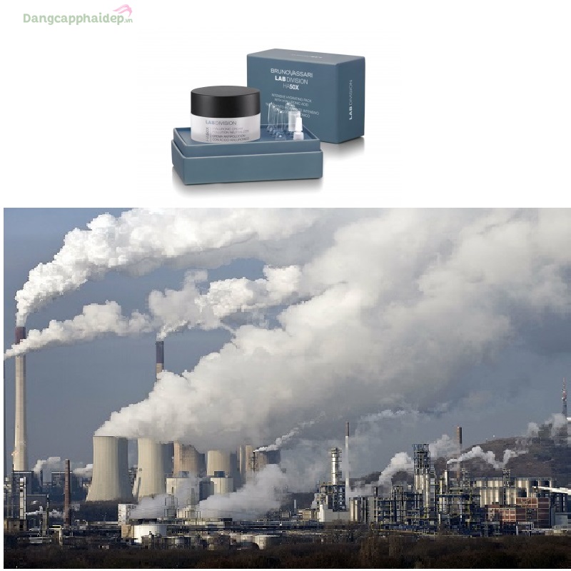 Bruno Vassari HA50X Hyaluronic Cream Pollution Neutralizer