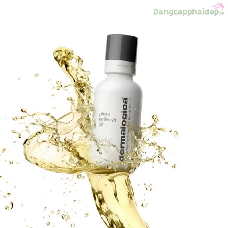 Dermalogica Phyto Replenish Oil khiến phái đẹp thật sự “phát cuồng” vì hiệu quả mà sản phẩm mang lại