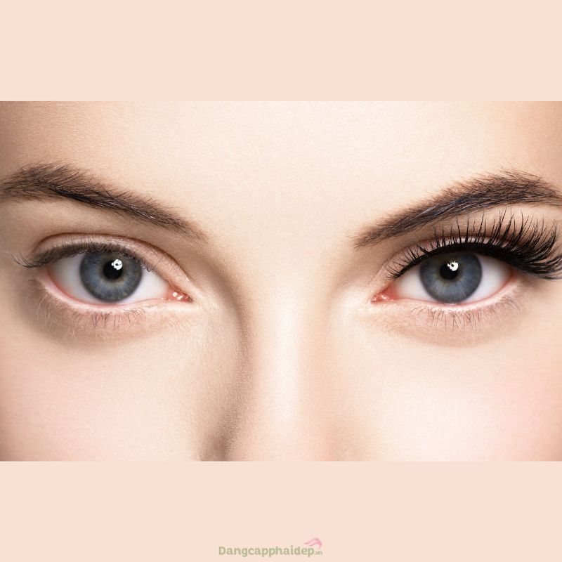 Hồi sinh làn da quanh mắt tươi sáng, căng mịn với Clinical Ceramide – Enriched Firming Eye Cream