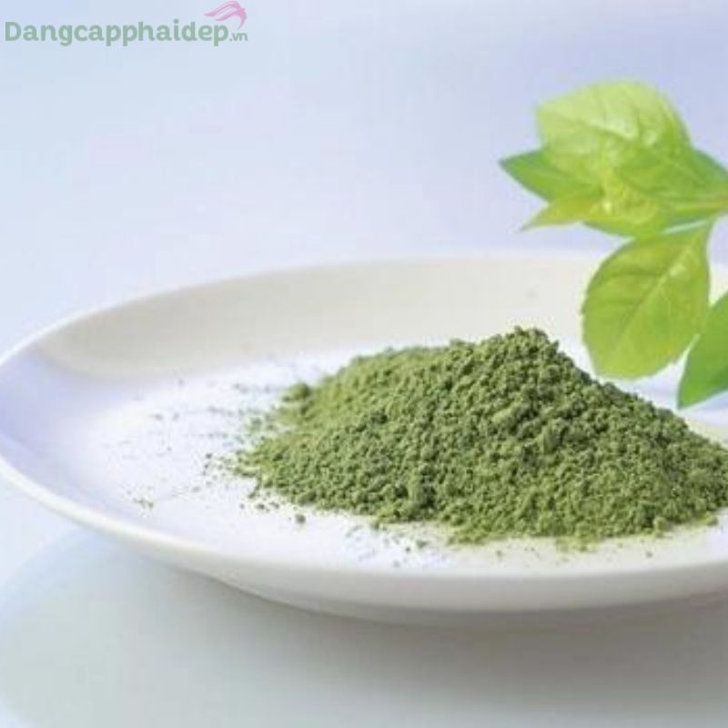 Chiết xuất trà xanh có trong Paula’s Choice Skin Perfecting 2% BHA Liquid Exfoliant giúp tăng cường chống oxy hóa và hỗ trợ phục hồi da.